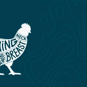 image-chicken illustration | Herd Butchery